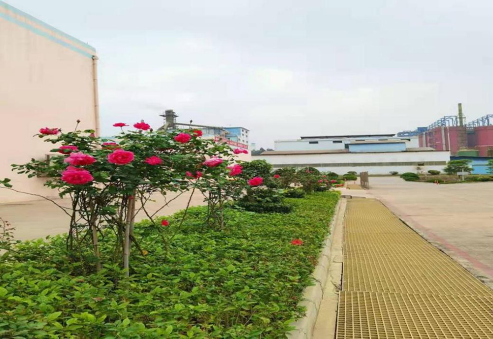 1617269751191122.jpg 1.jpg