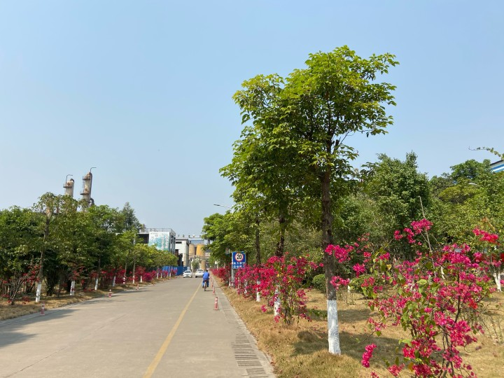 1617269872536182.png 4.png