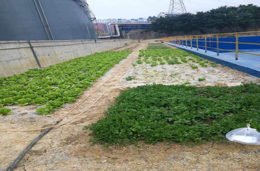 1617270161345680.jpg 5.jpg