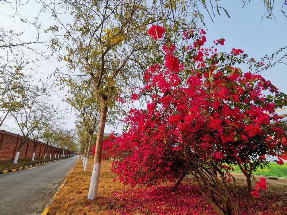 1617270516452951.jpg 9.jpg