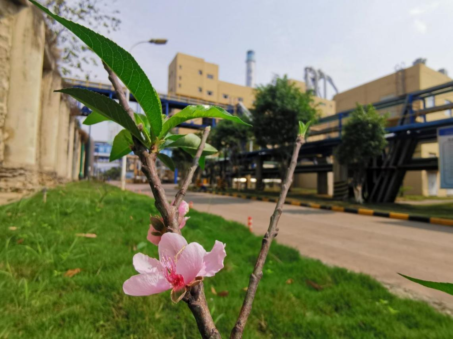 1617270627864637.png 11.png