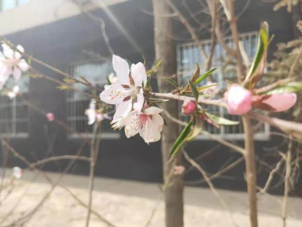 1617271213372383.png 22.png