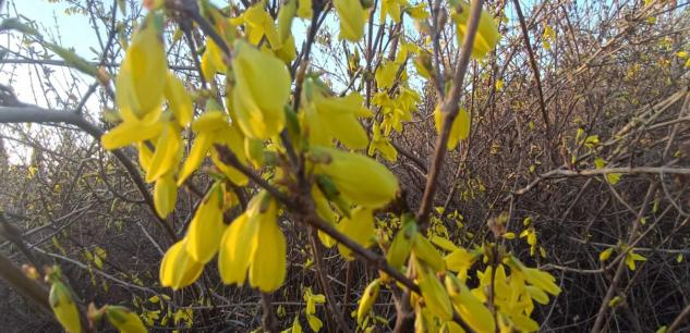 1617271732888746.png 33.png